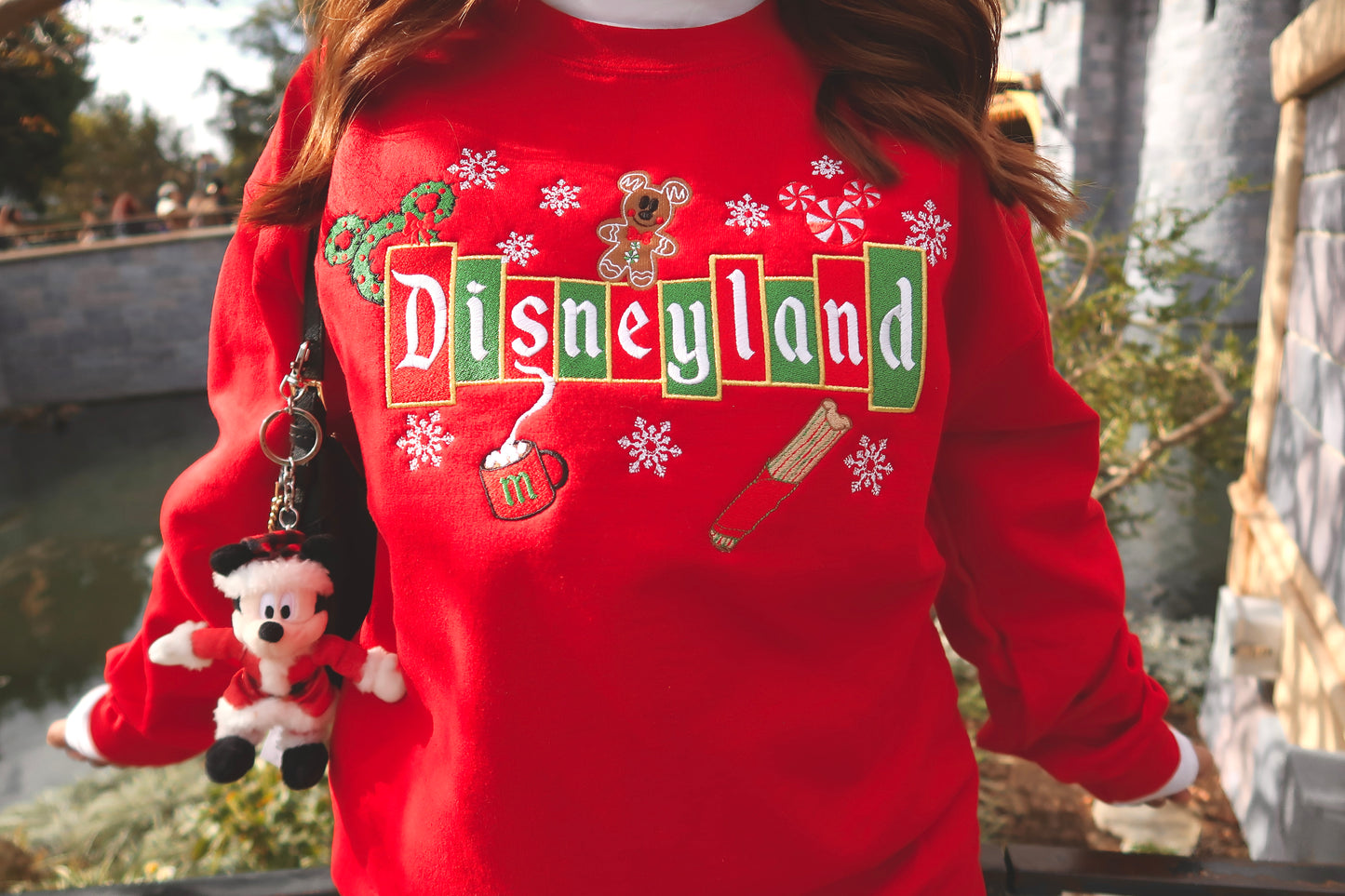 Mouse Christmas Land